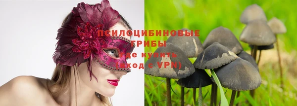 apvp Богородицк