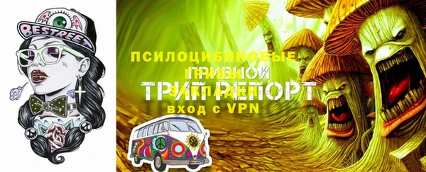 трава Беломорск