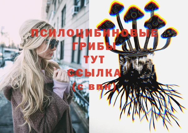 apvp Богородицк