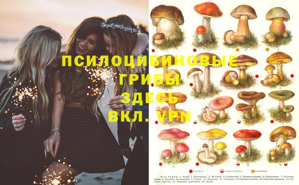прущая мука Надым