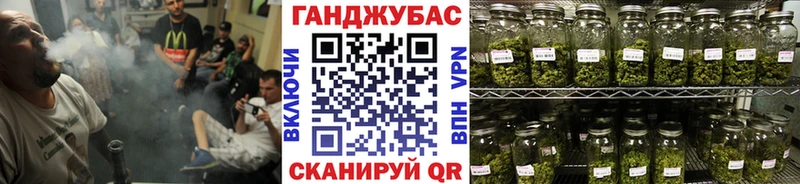 хочу наркоту  Белый  блэк спрут   Каннабис OG Kush 
